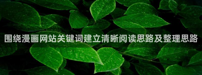 漫画岛漫画网址大全：围绕漫画网站关键词建立清晰阅读思路及整理思路