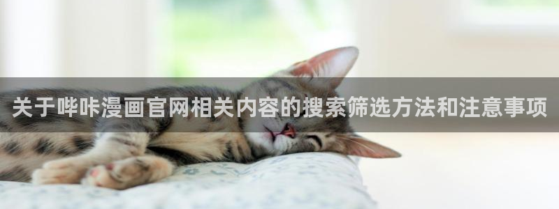 漫画岛动作漫画：关于哔咔漫画官网相关内容的搜索筛选方法和注意事项