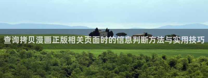 漫画岛网页入口：查询拷贝漫画正版相关页面时的信息判断方法与实用技巧